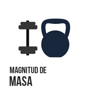 magnitud masa